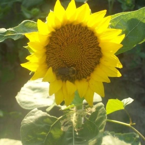 Meet your Posher, Adrienne - Picture 1 of 1